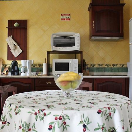 Oliveira Country House Figueira e Barros Luaran gambar