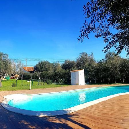 Oliveira Country House Figueira e Barros Luaran gambar