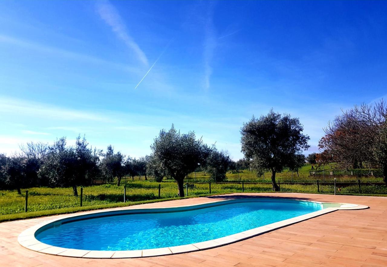 Oliveira Country House Figueira e Barros Luaran gambar