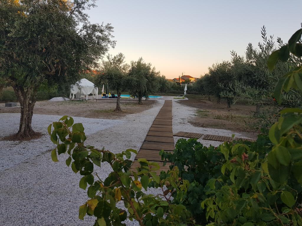 Oliveira Country House Figueira e Barros Luaran gambar